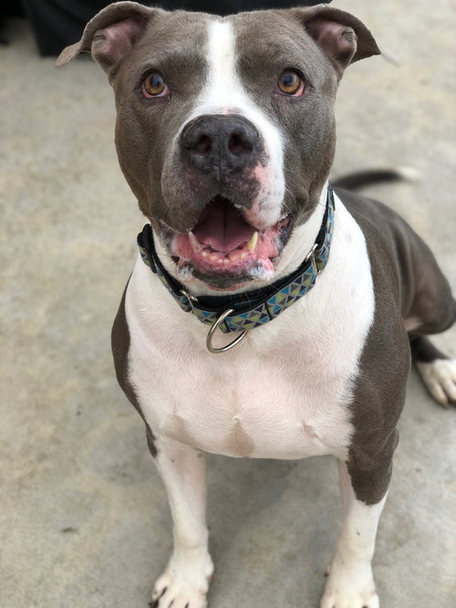 Mo - ADOPTED 05.24.19