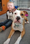 Howi-ADOPTED-5.5.15