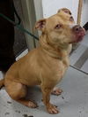 Zonya - ADOPTED 9.29.16