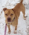 Zonya - ADOPTED 9.29.16