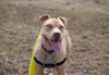Zonya - ADOPTED 9.29.16