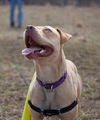 Zonya - ADOPTED 9.29.16