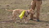 Zonya - ADOPTED 9.29.16