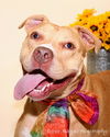 Zonya - ADOPTED 9.29.16