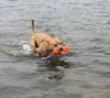 Zonya - ADOPTED 9.29.16