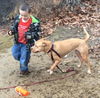 Zonya - ADOPTED 9.29.16