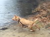 Zonya - ADOPTED 9.29.16