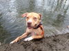 Zonya - ADOPTED 9.29.16