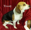 Troody-ADOPTED-2.16.15