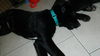 Wm Litter Declan - ADOPTED 02.02.15