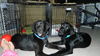 Wm Litter Declan - ADOPTED 02.02.15