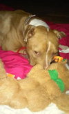 Mercy - ADOPTED 02.16.16