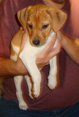 Zm Litter Leon - ADOPTED 02.27.15