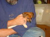 Zm Litter Blossom - ADOPTED 02.11.15