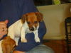 Zm Litter Blossom - ADOPTED 02.11.15