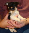 Zm Litter Bubbles - ADOPTED 02.22.15