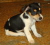 Zm Litter Bubbles - ADOPTED 02.22.15