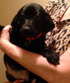 An Litter Margarita - ADOPTED 02.07.15
