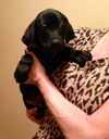 An Litter Margarita - ADOPTED 02.07.15