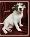 Bn Litter Mariah - ADOPTED 03.05.15