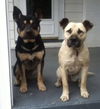 Fn-Peter the Great - ADOPTED 02.08.15