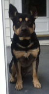 Fn-Peter the Great - ADOPTED 02.08.15