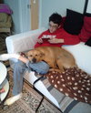 Rizzo - ADOPTED 05.24.15