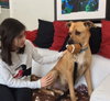 Rizzo - ADOPTED 05.24.15