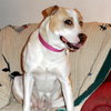 Rosemary-ADOPTED-6.22.15