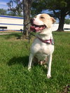 Rosemary-ADOPTED-6.22.15