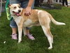 Rosemary-ADOPTED-6.22.15