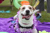 Rosemary-ADOPTED-6.22.15