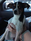 Aubrey - ADOPTED 02.26.15