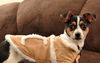 Aubrey - ADOPTED 02.26.15