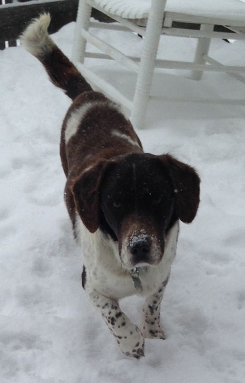 Reuben-ADOPTED-2.23.15