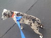 Tinley - ADOPTED-12.13.15