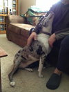 Tinley - ADOPTED-12.13.15