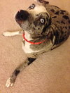 Tinley - ADOPTED-12.13.15