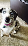 Tinley - ADOPTED-12.13.15