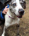 Tinley - ADOPTED-12.13.15