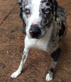 Tinley - ADOPTED-12.13.15