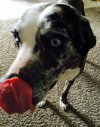 Tinley - ADOPTED-12.13.15