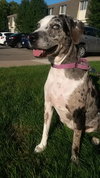 Tinley - ADOPTED-12.13.15