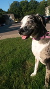 Tinley - ADOPTED-12.13.15