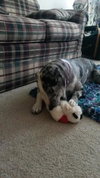 Tinley - ADOPTED-12.13.15