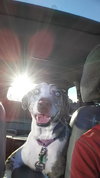 Tinley - ADOPTED-12.13.15