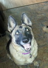 Nina-ADOPTED-5.27.15