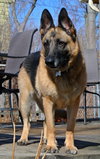 Nina-ADOPTED-5.27.15