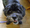 Roper (Hospice) - ADOPTED-12.31.15