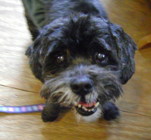 Roper (Hospice) - ADOPTED-12.31.15